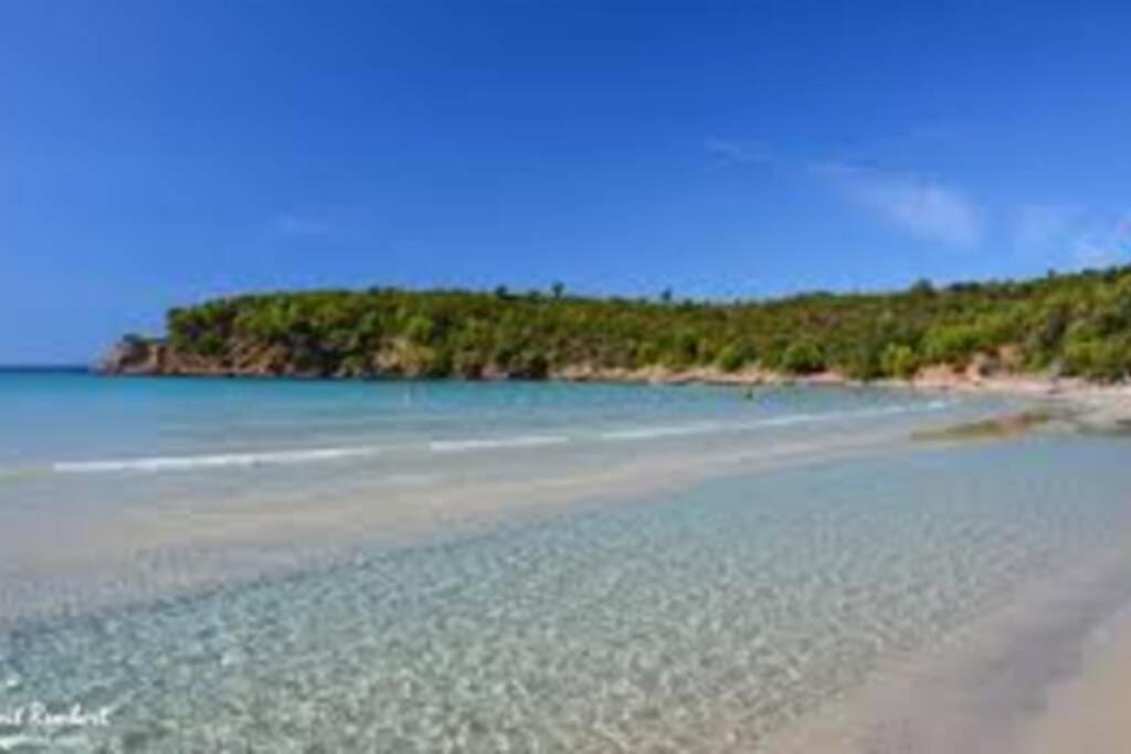 Studio Climatise Proche Port Et Plages Ла-Лонд-ле-Мор Екстер'єр фото